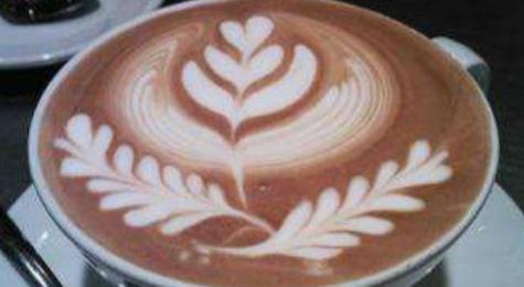 Tofu Coffee Tofu Coffee